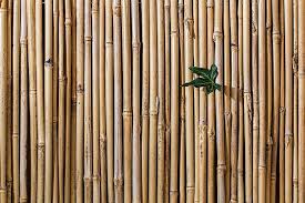 Materiales de la construcción - bambú
